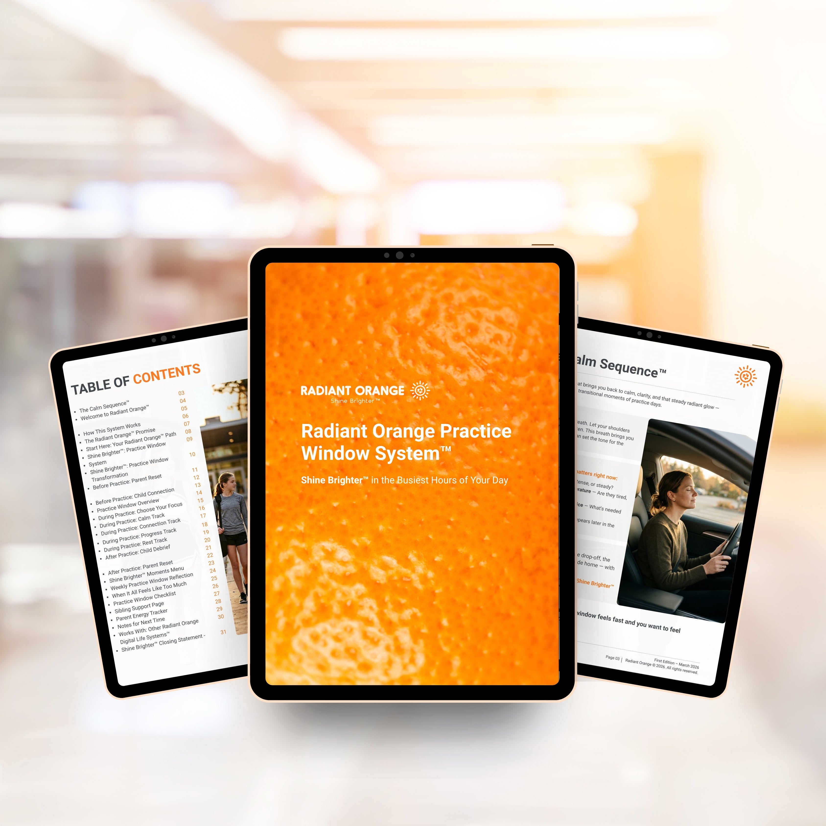 The Practice Window System™ Master Preview